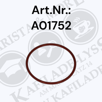 Rocket Boxer/R9 Dusche O-Ring; R9 Gruppenanschluss