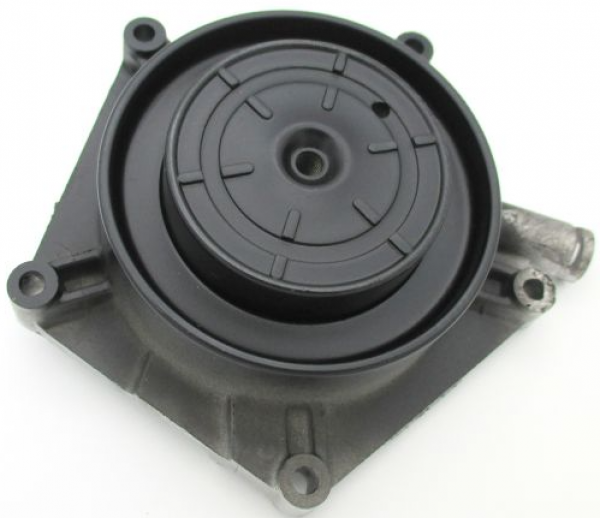 54-mm-Duschkopf für SAGE Geräte